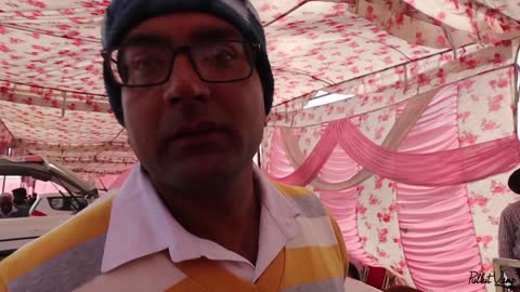 Dog market in dog shows vlog fo Karnak dogs show for all dogs 🐕 lovers