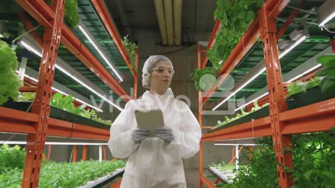 Young Female Greenhouse Worker In Protective Coveralls, Mask, Gloves, Eyeglasses And Cap Using Table