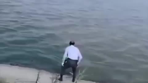 This is a beautiful and charming water-dwelling species