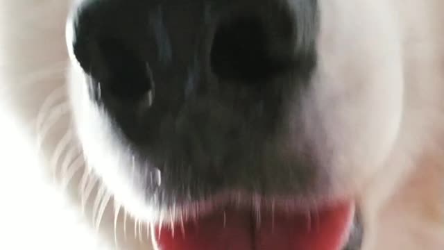 When You Accidentally Open The Front Camera