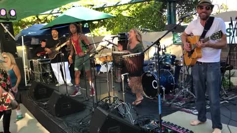 Groove Shine Avocado Festival 2018