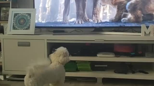 Maya doesn’t like those scary hyenas In the lion king movie