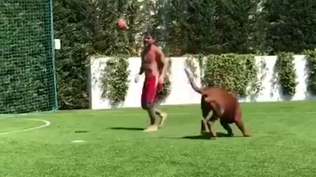 Lionel Messi Play With Dog In Home 480p