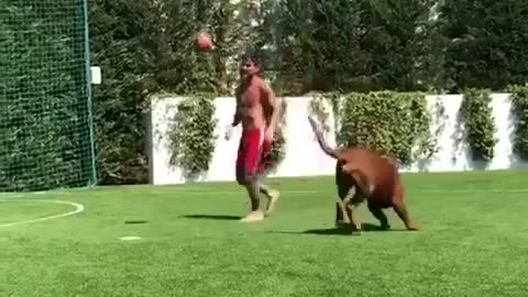 Lionel Messi Play With Dog In Home 480p