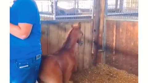 Look at that teasing colt 😍