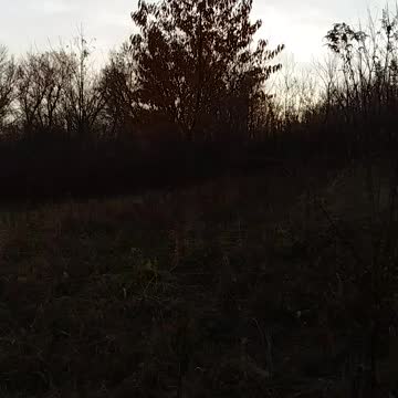 Psalm 6 Message Bible