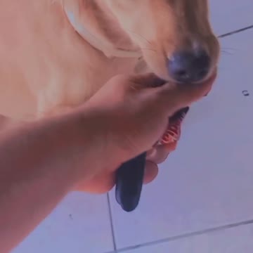 my little princess parte 2