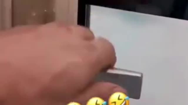 Dog jumping on the beach, animals having fun #shorts