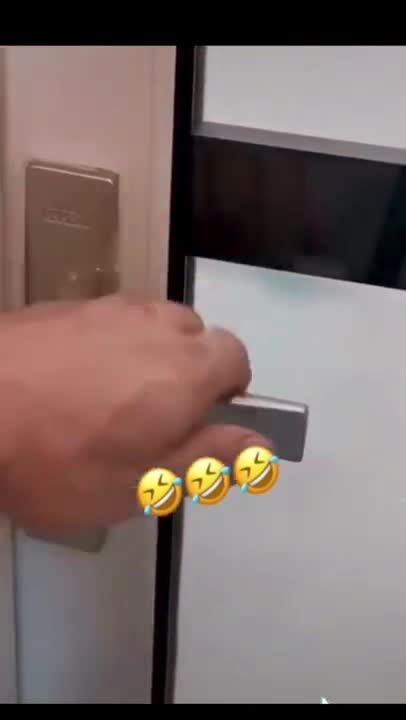 Dog jumping on the beach, animals having fun #shorts