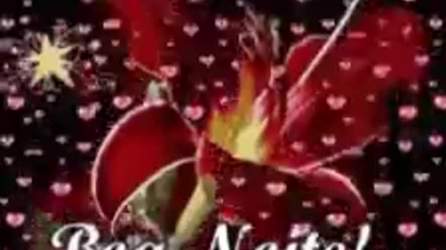 Uma excelente noite