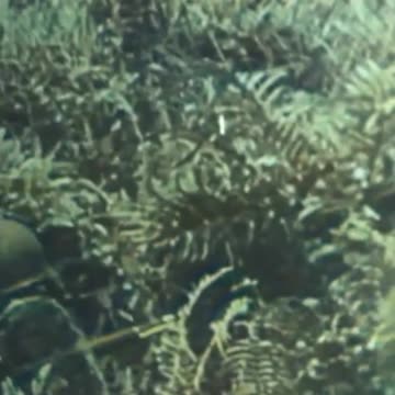 13 ⚔️ In gaming, if the enemy hesitates, then act swiftly