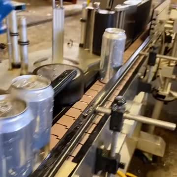 funny|prank|jokes|funny jokes|dad jokes|funny memes|funny video|fun|laughing|funny animal|knock