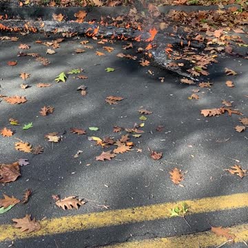 Live powerline damage