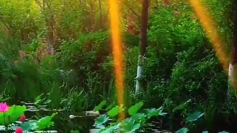 The mountains and rivers are far away, and the world is full of fireworks