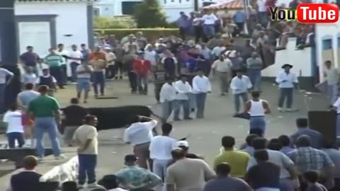Best funny videos ~ Most awesome bullfighting festival funny crazy bull fails