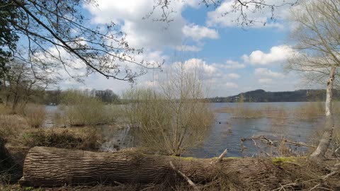 Möhnesee - Tour 2023 : : TAG 1 : : Bisamratten...🥰