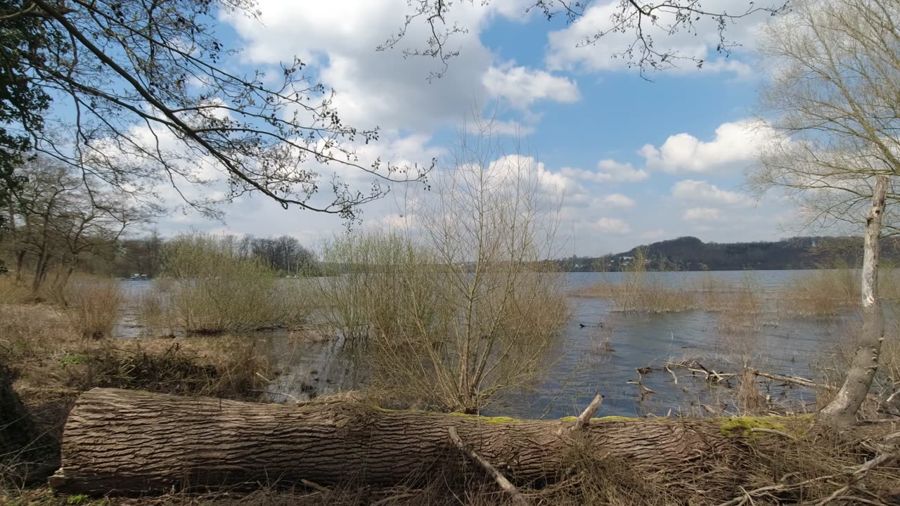Möhnesee - Tour 2023 : : TAG 1 : : Bisamratten...🥰