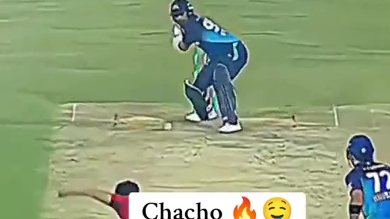 Cricket