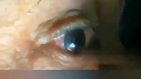 THE VRIL REPTILIAN DRONE REVEALED 🍿🐸🇺🇸