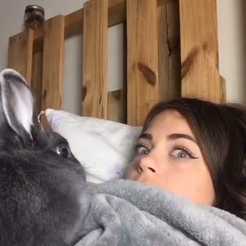 Bunny see, bunny do 😅