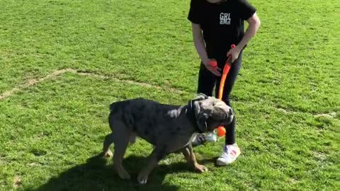 Playing ball with my sister.