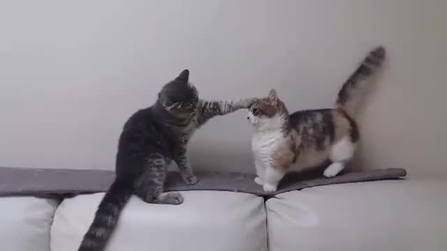 When you try to fight but your arms are too short