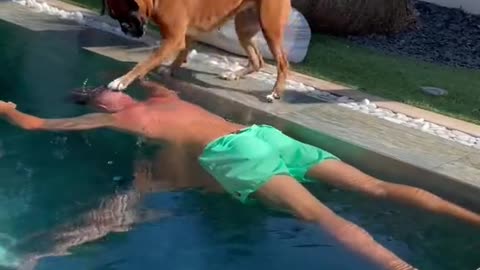 TOUCGHING MOMENT OF A RESCUE DOG