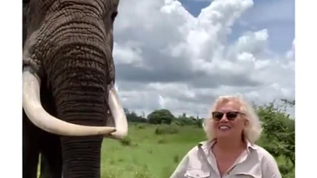 The huge elephant having some Fun with leady 😂😂