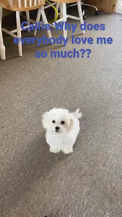 0.So cute 🥰😊☺️