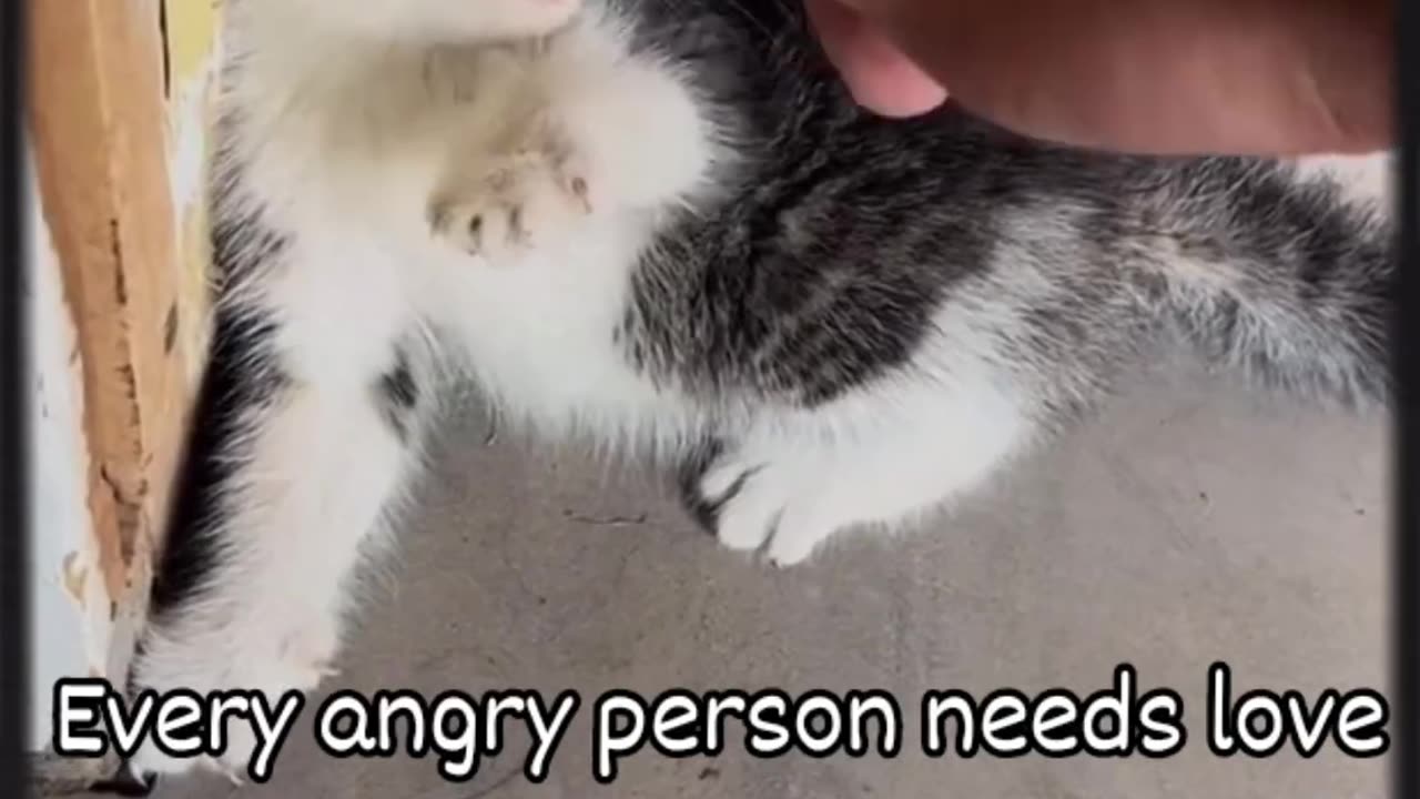 Every angry person needs love!.mp4