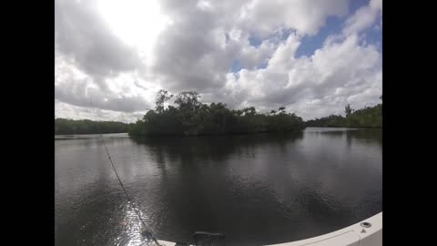 Windy River Trip