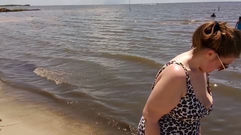 Lil Shark Park, Cedar Key, Florida