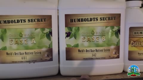 Let's Feed These Trees!! Humboldts Secret Nutrients Product Spotlight!!