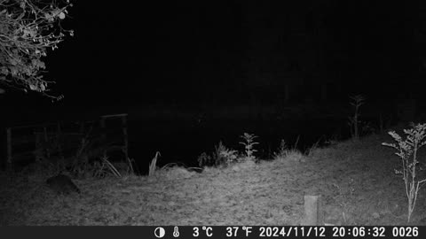 Teich121124