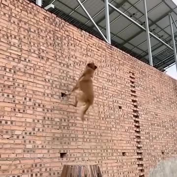 Regardez ce video sport