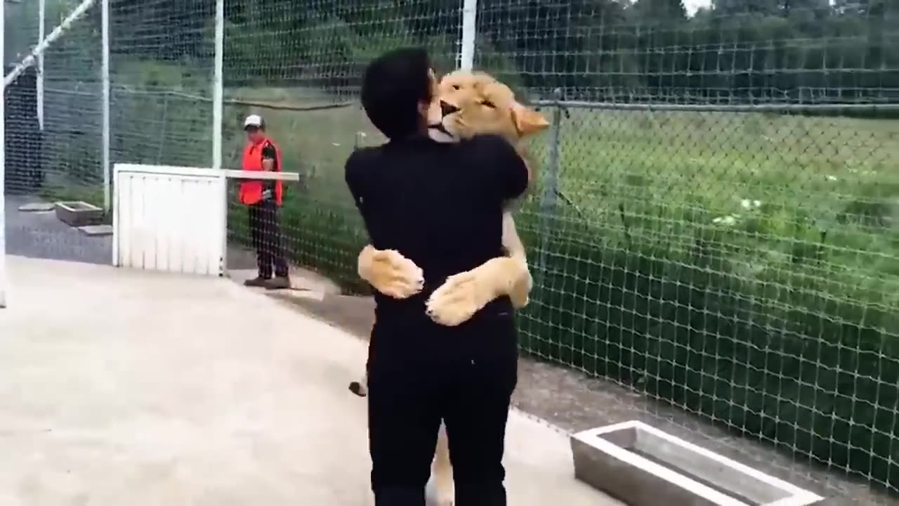 Animals showing gratitude