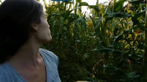 The Organic Life