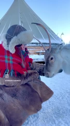 It’s beginning to look a lot like Christmas