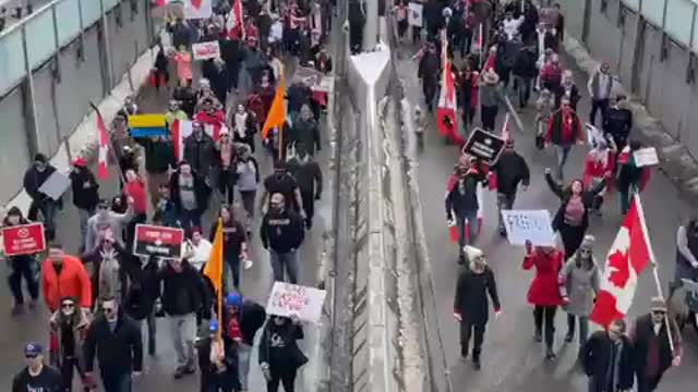 Live - Calgary protests pt.2