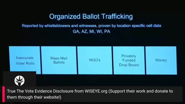 Wisconsin: How They Cheated. Dirty Voter Rolls, Mass Mail In Ballots, Traffickers, NGO’s, Drop Boxes