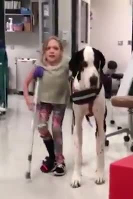 Bella has a medical condition that makes walking difficult,her progress is incredible!