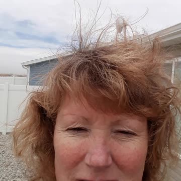 Pioneer experience: wind, cows, wind, dust