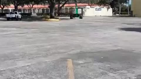 Possible Voter and Ballot Fraud Witnessed in Florida