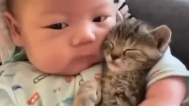 Bebê com o gatinho