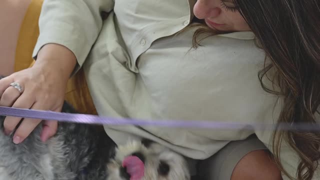 Couple playing with dogs