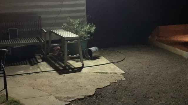 Multipurpose solar light in use