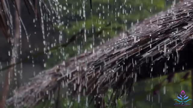 Rain Sounds For Sleeping Deep Hypnosis For Sleep Soundly - Relaxing Piano Music & Rain Sounds