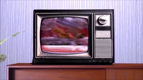 BREAKING : DARK WINTER EXPOSED IT ALL - TNTV