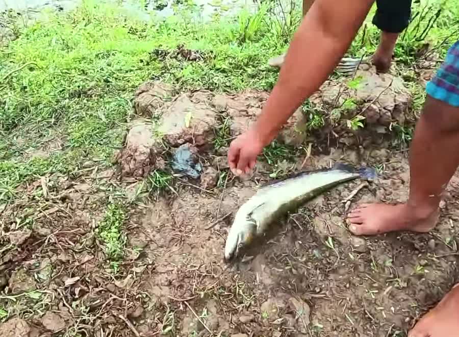 Catch a big fish by man