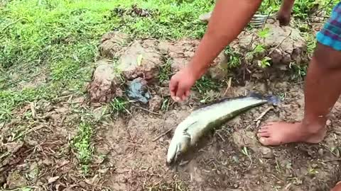 Catch a big fish by man